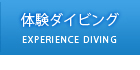 宮古島 ダイビングショップ空｜体験ダイビング