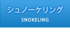 宮古島 ダイビングショップ空｜シュノーケル